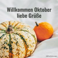 Herbstliche Farbenpracht: Zierkürbisse läuten den Oktober ein.
