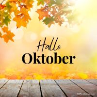 Herbstlaub rahmt einen goldenen Oktobermorgen ein, eine perfekte Szene für gemütliche Tage.