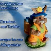 Liebe Grüße zum...