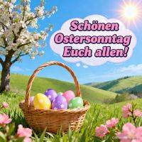 Korb mit bunten Ostereiern auf Frühlingswiese, blühender Baum und Sonne, Text in Sprechblase