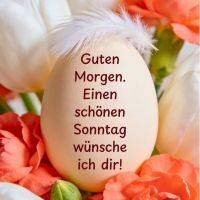 Ei mit weißer Feder zwischen weißen Tulpen und orangefarbenen Blüten, darauf Sonntagsgruß