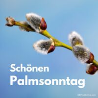 Frühlingserwachen: Weidenkätzchen künden den Beginn der Osterzeit an.