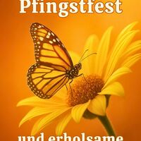 Ein Schmetterling auf einer Sonnenblume erinnert uns an die Schönheit der Natur in der Pfingstzeit.