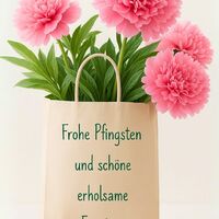Ein bezauberndes Geschenk von frischen pinken Pfingstrosen, die aus einer stilvollen Tasche sprießen.