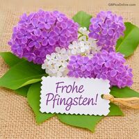 Ein bunter Strauß aus lila Hortensien und weißen Blüten, umgeben von frischem Grün.