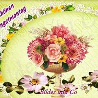 Schönen Pfingstmo...