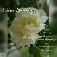 Schönen Pfingstmo...