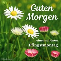 Guten Morgen …ein...