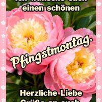 Zwei rosa Pfingstrosen mit gelbem Zentrum und Grußtext, eingerahmt von rosa Blumenbordüre
