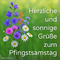 Ein bunter Frühlingsgruß, der die Seele erwärmt und den Pfingstsamstag mit Lebensfreude und Farbenpracht begrüßt.