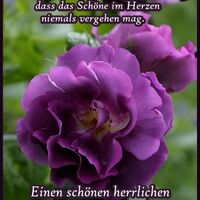 Schöne Erinnerung...