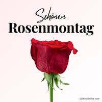 Schönen Rosenmontag.