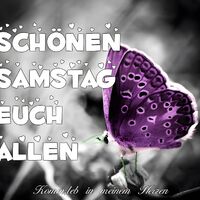Schönen Samstag...