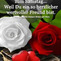 Ein kleiner Blume...