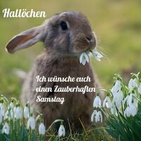 Hallöchen. Ich...