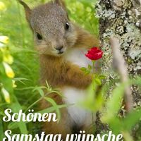 Schönen Samstag...