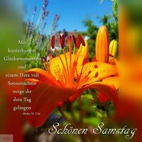 'Mit kunterbunten...