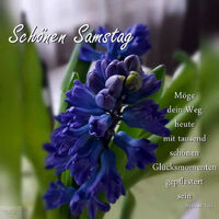 Schönen Samstag...