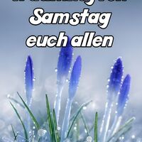 Traumhaften Samst...