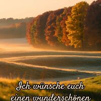 Ein nebliger Herbstmorgen leuchtet golden über einer Wiese und bunten Baumreihe.