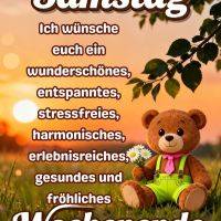 Teddybär mit Blumen im Gras bei Sonnenuntergang, dazu Grußtext für Samstag und ein schönes Wochenende