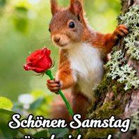 Niedliches Eichhörnchen am Baum hält eine rote Rose, darunter Grußtext für Samstag