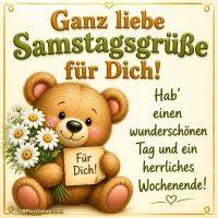 Niedlicher Teddybär mit Gänseblümchen und Grußtext: liebe Samstagsgrüße und schönes Wochenende