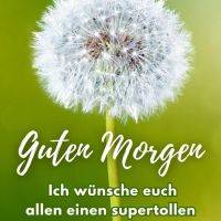 Pusteblume vor grünem Hintergrund mit Grußtext: Guten Morgen und Wünsche für einen schönen Samstag