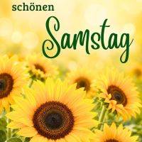 Sonnenblumen vor warmem, unscharfem Hintergrund mit Grußtext „Ich wünsch dir einen schönen Samstag“