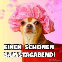 Chihuahua mit pinker Duschhaube in roter Wanne vor Pastellhintergrund mit Seifenblasen