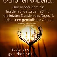 Schönen Abend...
