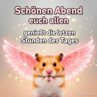 Schönen Abend...