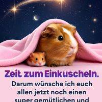 Meerschweinchen und Hamster unter rosa Decke vor Sternenhimmel mit Sternschnuppe und Mond, dazu Abendgruß
