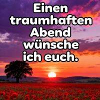 Sonnenuntergang über rotem Mohnfeld, einzelner Baum am Horizont, violette Wolken und Grußtext