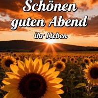 Sonnenblumenfeld bei Sonnenuntergang mit orangefarbenen Wolken und Grußtext