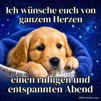 Goldener Welpe liegt in einem Korb unter blauer Decke vor sternigem Nachthimmel mit Grußtext