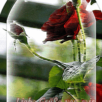 Liebe Grüße von...