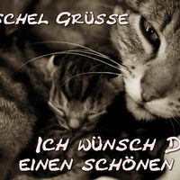 Kuschelgrüße...