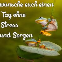 Wünsche euch eine...