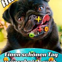 Huhu. Einen schön...