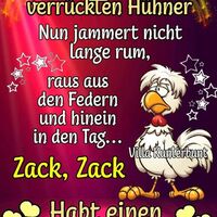 Moin, ihr verrück...