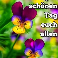 Einen super schön...