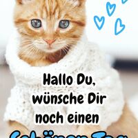 Hallo du, wünsche...