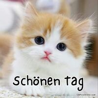 Schönen Tag.