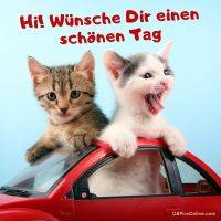 Zwei verspielte Kätzchen lehnen aus einem roten Spielzeugauto und sorgen für gute Laune.