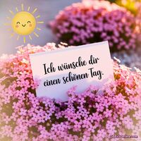 Fröhliche Sonnenstrahlen und blühende Blumen bringen Freude und Wünsche für einen wunderbaren Tag.
