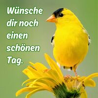 Hallo du! Wünsche...