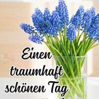 Blaue Traubenhyazinthen in einem Glas mit Wasser, dazu Grußtext vor hellem Hintergrund