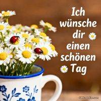 Gänseblümchen in einer Tasse mit zwei Marienkäfern und Grußtext vor braunem Hintergrund