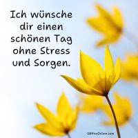 Gelbe Blüten vor hellblauem Hintergrund mit Grußtext